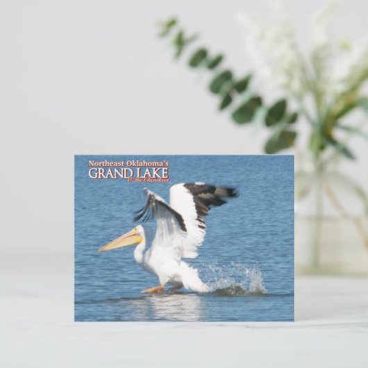 Grand Lake Oklahoma postkaart pelican1 (Staand voorkant)