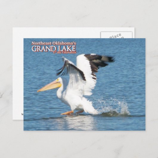 Grand Lake Oklahoma postkaart pelican1 (Voorkant / Achterkant)