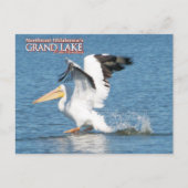 Grand Lake Oklahoma postkaart pelican1 (Voorkant)