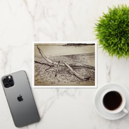 Grand MaraisWenskaart Folie Wenskaart