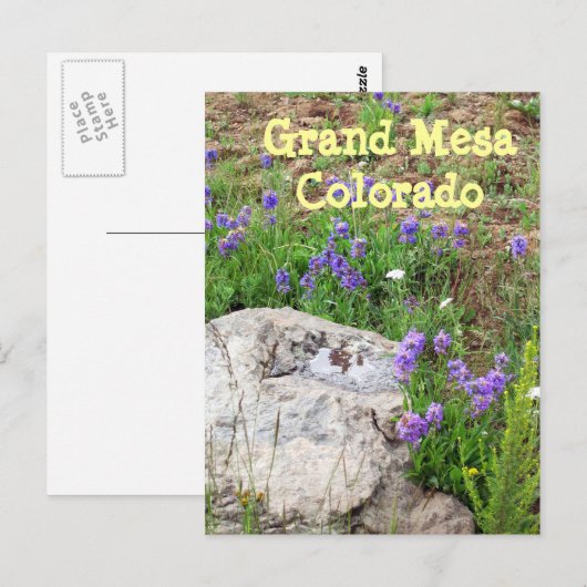Grand Mesa, Colorado Briefkaart (Voorkant / Achterkant)
