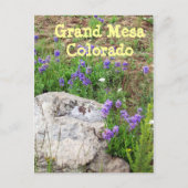 Grand Mesa, Colorado Briefkaart (Voorkant)
