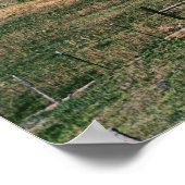 Grand Mesa, Colorado in het najaar Poster (Hoek)