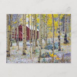 Grand Mesa Eenzame hut in een bos Briefkaart