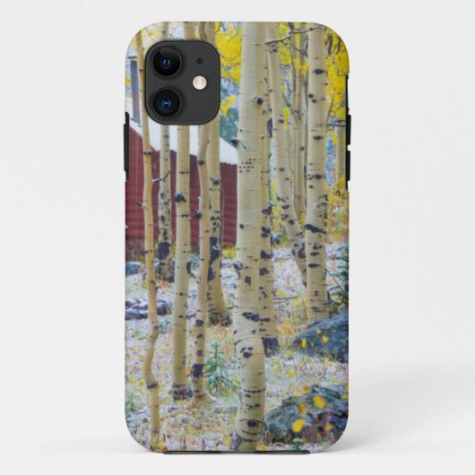 Grand Mesa Eenzame hut in een bos Case-Mate iPhone Case (Achterkant)