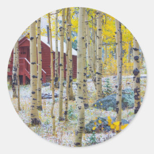Grand Mesa Eenzame hut in een bos Ronde Sticker