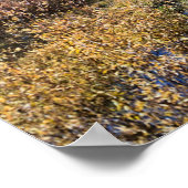 Grand Mesa in het najaar, Western Colorado Poster (Hoek)