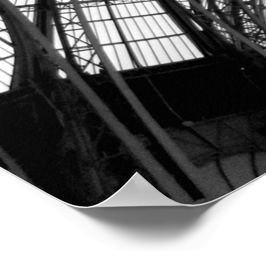 Grand Palais, Parijs Poster (Hoek)