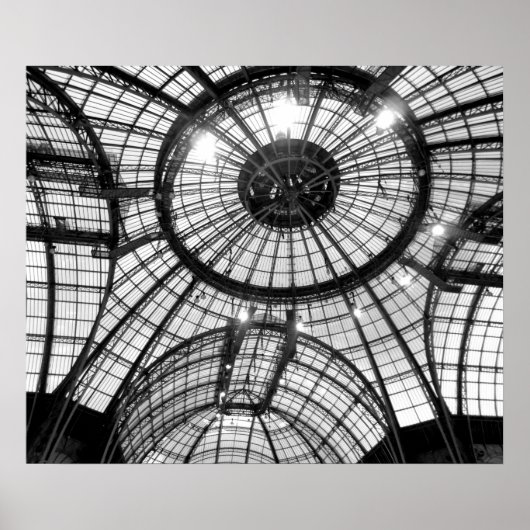 Grand Palais, Parijs Poster (Voorkant)