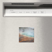 Grand Prismatic Magnet (Insitu (Vaatwasser))