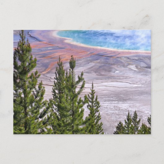 Grand Prismatic Overlook Briefkaart (Voorkant)
