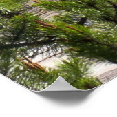 Grand Prismatic Overlook Poster (Hoek)