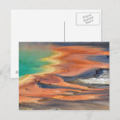 Grand Prismatic Spring Runoff Briefkaart (Voorkant / Achterkant)