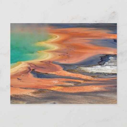 Grand Prismatic Spring Runoff Briefkaart (Voorkant)