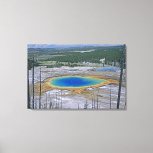 Grand Prismatic Spring, Yellowstone National Park, Canvas Afdruk
