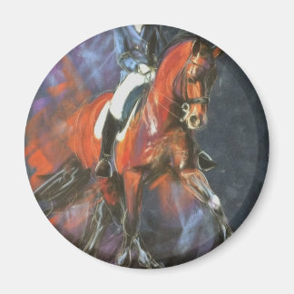 Grand Prix olympic dressage Magneet
