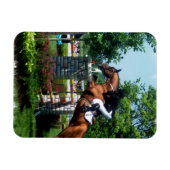 Grand Prix Paard Premium Magneet (Horizontaal)