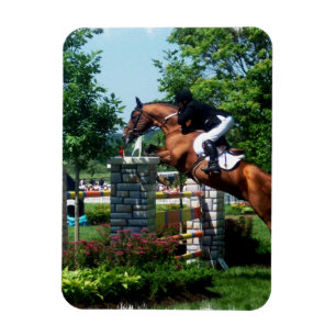 Grand Prix-paardenpremium Magnet Magneet