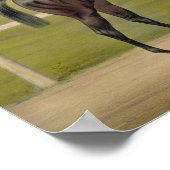 Grand Racer Kingston -  paardenraces Poster (Hoek)