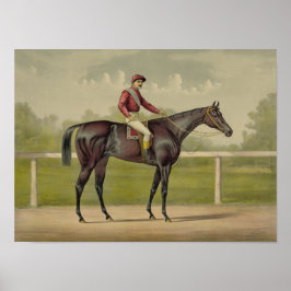 Grand Racer Kingston -  paardenraces Poster
