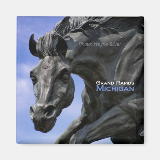 Grand Rapids Michigan Magnet Travel Souvenir (Voorkant)
