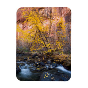 Grand Staircase-Escalante National Monument Magneet