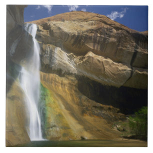 GRAND STAIRCASE-ESCALANTE NATIONALE MONUMENT; TEGELTJE