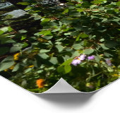 Grand Teton 0594 8-11 Poster (Hoek)