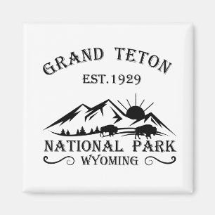 Grand Teton bergen Nationaal Park Wyoming Magneet