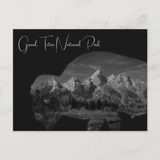 Grand Teton Bizon dubbele blootstelling Briefkaart (Voorkant)