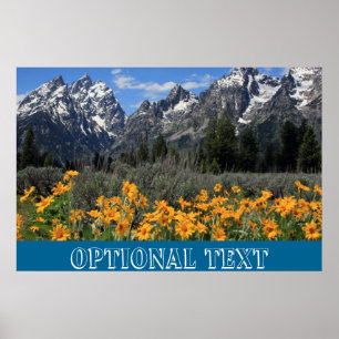 Grand Teton Lente Souvenir Foto Poster