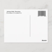 Grand Teton National Park Fox Kits Briefkaart (Achterkant)