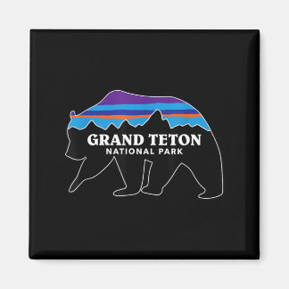 Grand teton national park grizzly bear minimalist magneet