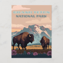 Grand Teton National Park Jackson Wyoming Mountain Briefkaart