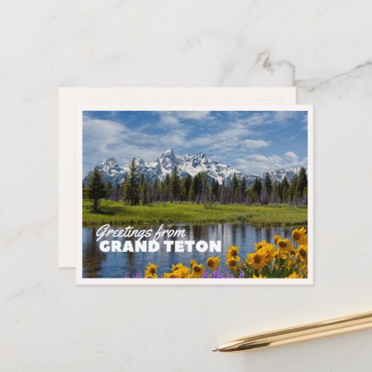 Grand Teton National Park Lente Bloem Reflectie Briefkaart (Voorkant / Achterkant in situ)