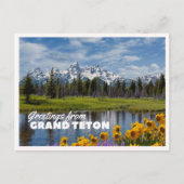 Grand Teton National Park Lente Bloem Reflectie Briefkaart (Voorkant)