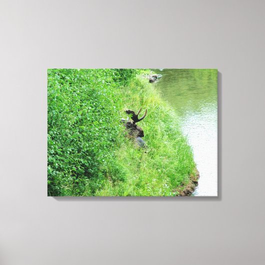 Grand Teton National Park, met struiken. Canvas Afdruk (Voorkant)