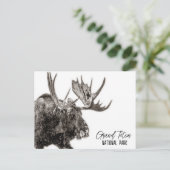 Grand Teton National Park Moose Briefkaart (Staand voorkant)