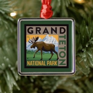 Grand Teton National Park Moose Metalen Ornament
