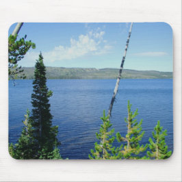 Grand Teton National Park Muismat