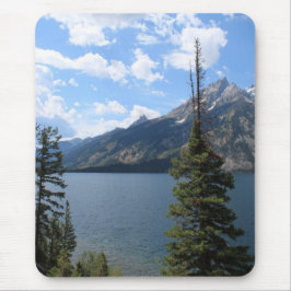 Grand Teton National Park Muismat