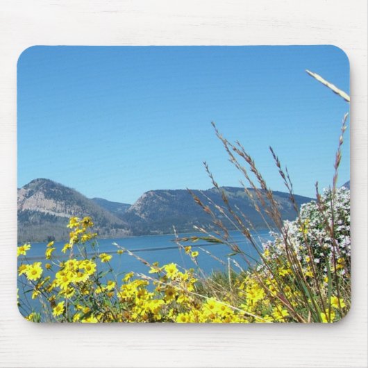 Grand Teton National Park wilde bloemen en meer. Muismat (Voorkant)