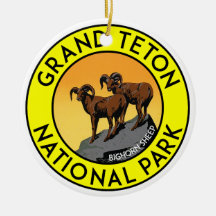 Grand Teton National Park Wyoming Bighorn Sheep