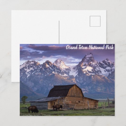Grand Teton National Park Wyoming Mountains Barn Briefkaart (Voorkant / Achterkant)