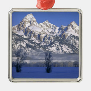 GRAND TETON NATIONAL PARK, WYOMING. VS. Mist & Metalen Ornament