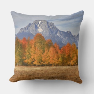 Grand Teton NP, Mount Moran en espardelboom Kussen