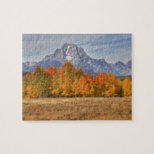 Grand Teton NP, Mount Moran en espardelboom Legpuzzel