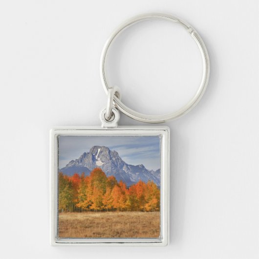 Grand Teton NP, Mount Moran en espelbomen Sleutelhanger (Voorkant)