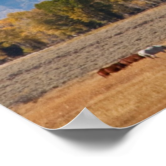 Grand Teton Poster (Hoek)