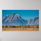 Grand Teton Poster (Voorkant)